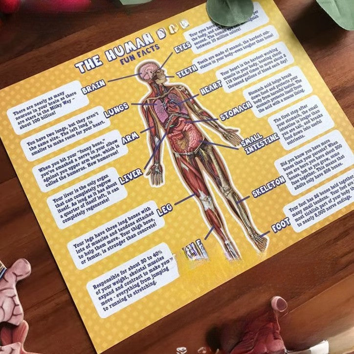 Human Anatomy Educational Floor Puzzle for Kids